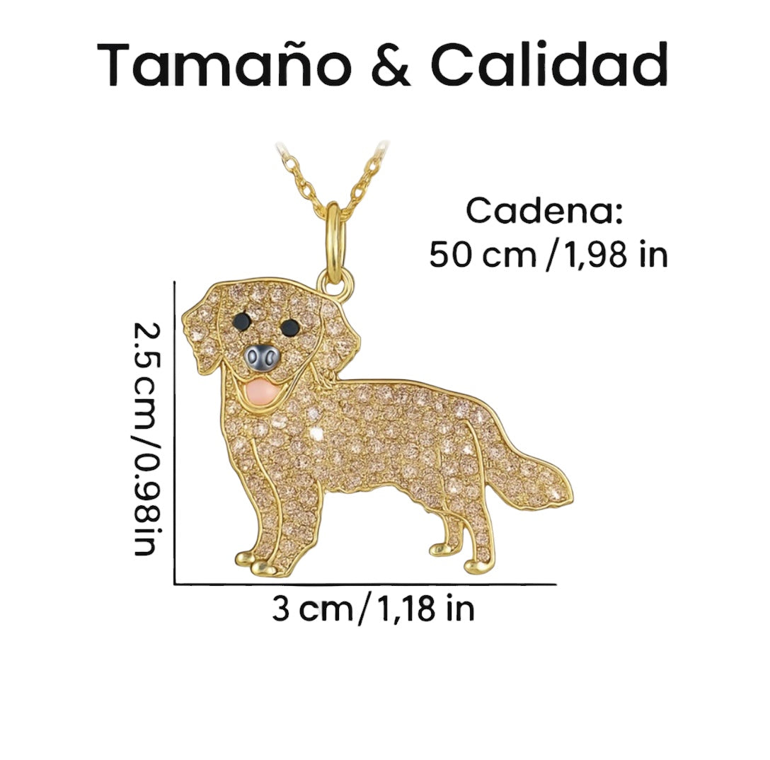 Collar Mascota Personalizado