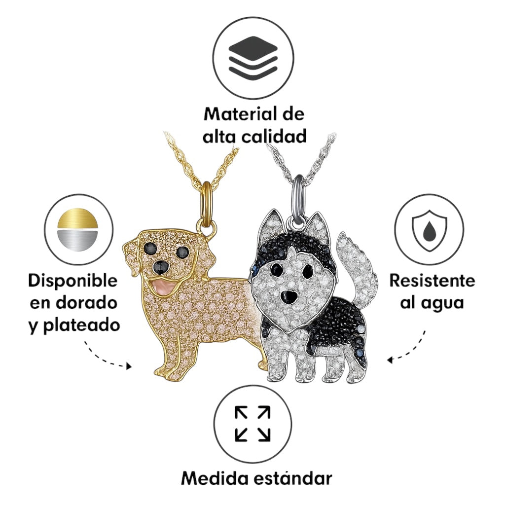 Collar Mascota Personalizado